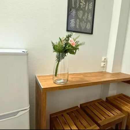 Grand Duplex Familial Au Centre De Appartement